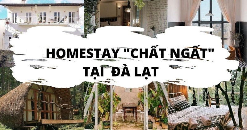 Homestay Đà Lạt 5