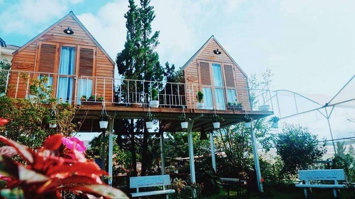 in-the-pines-homestay-dalat-1