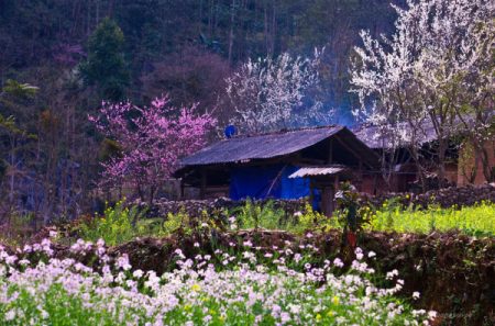 du-lich-ha-giang-thang-1-10