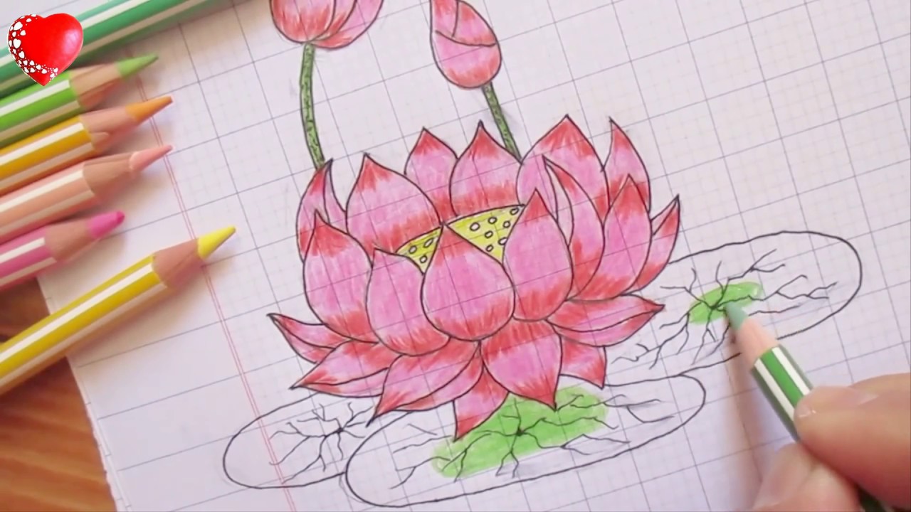 Hình vẽ bông hoa hướng dương