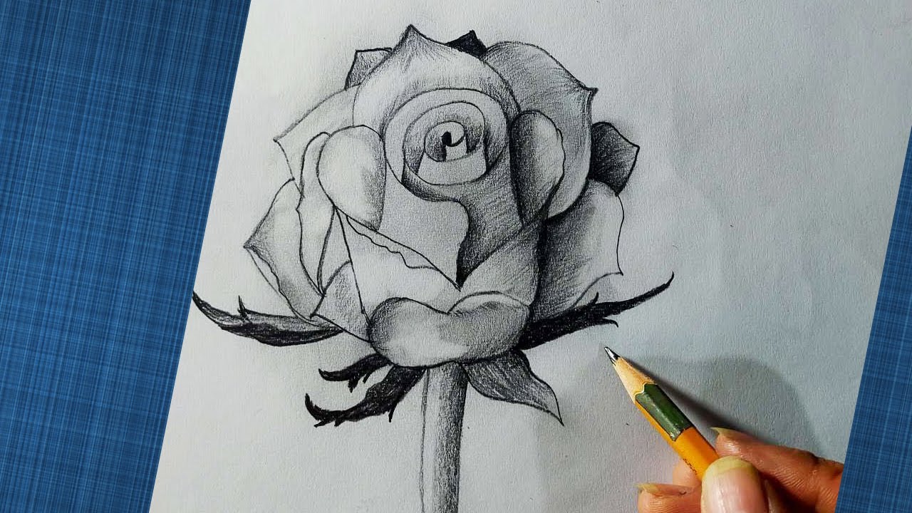 Hình vẽ bông hoa cho bé tô màu