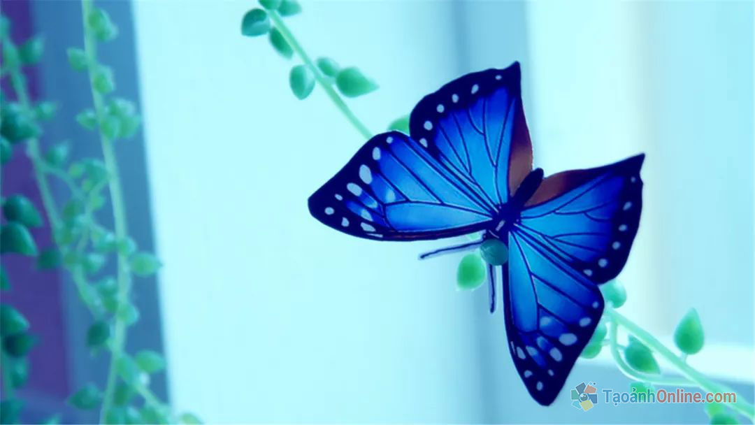 Hình ảnh vẽ con bướm