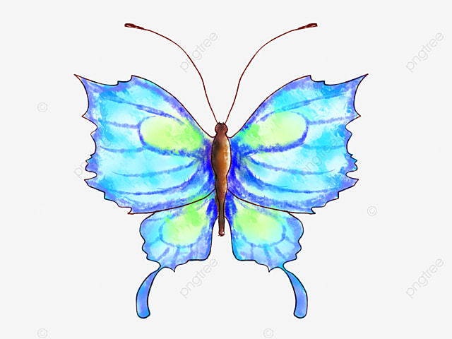 Hình vẽ bướm