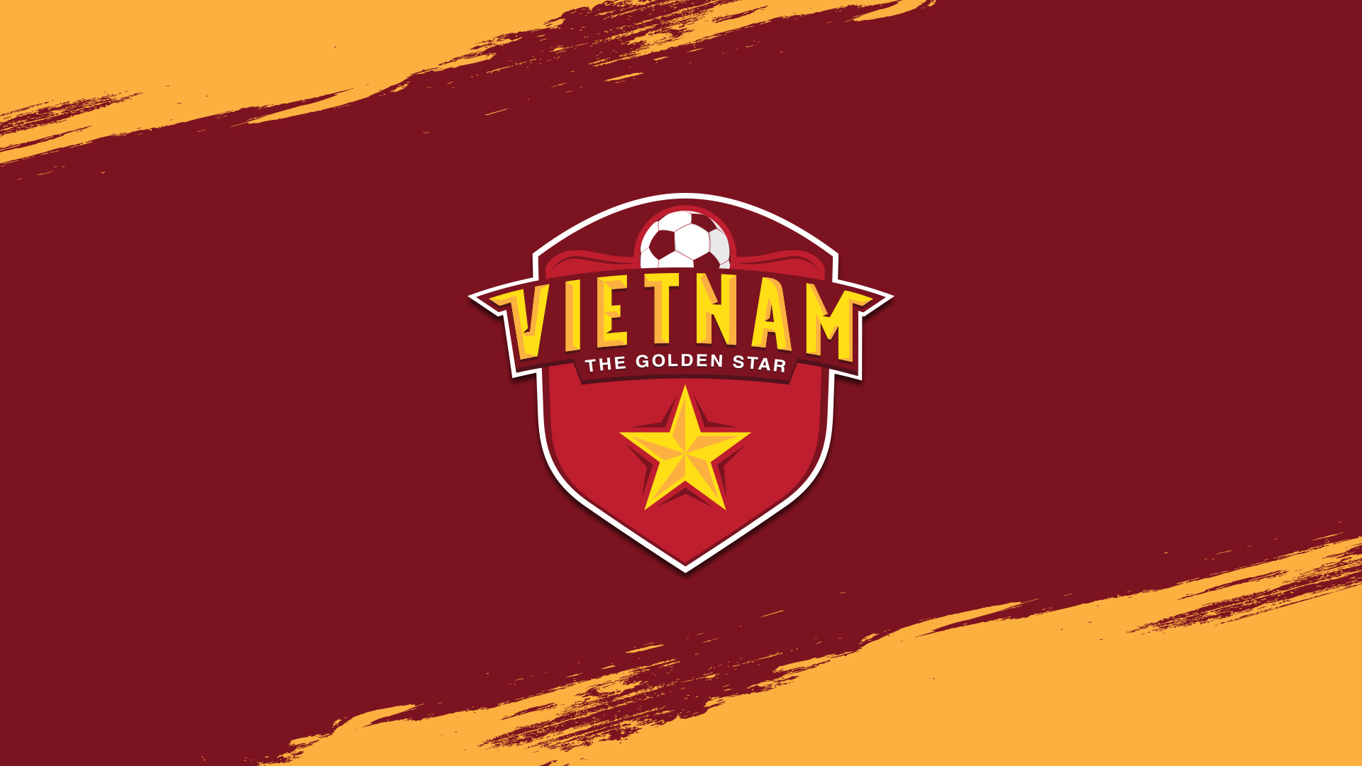 Logo áo bóng đá việt nam