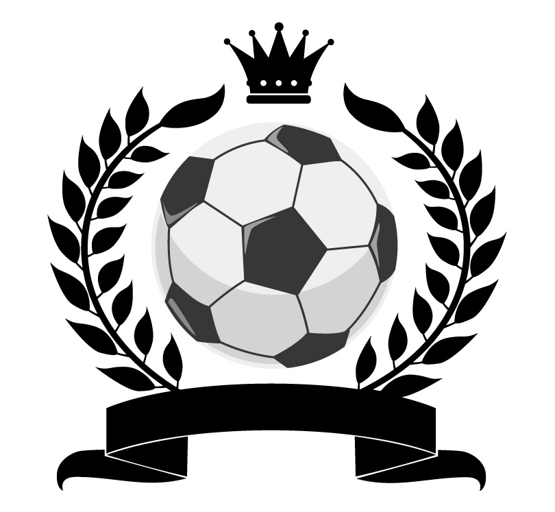 Logo đội tuyển bóng đá việt nam