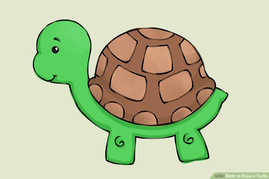 Hình vẽ con rùa cute