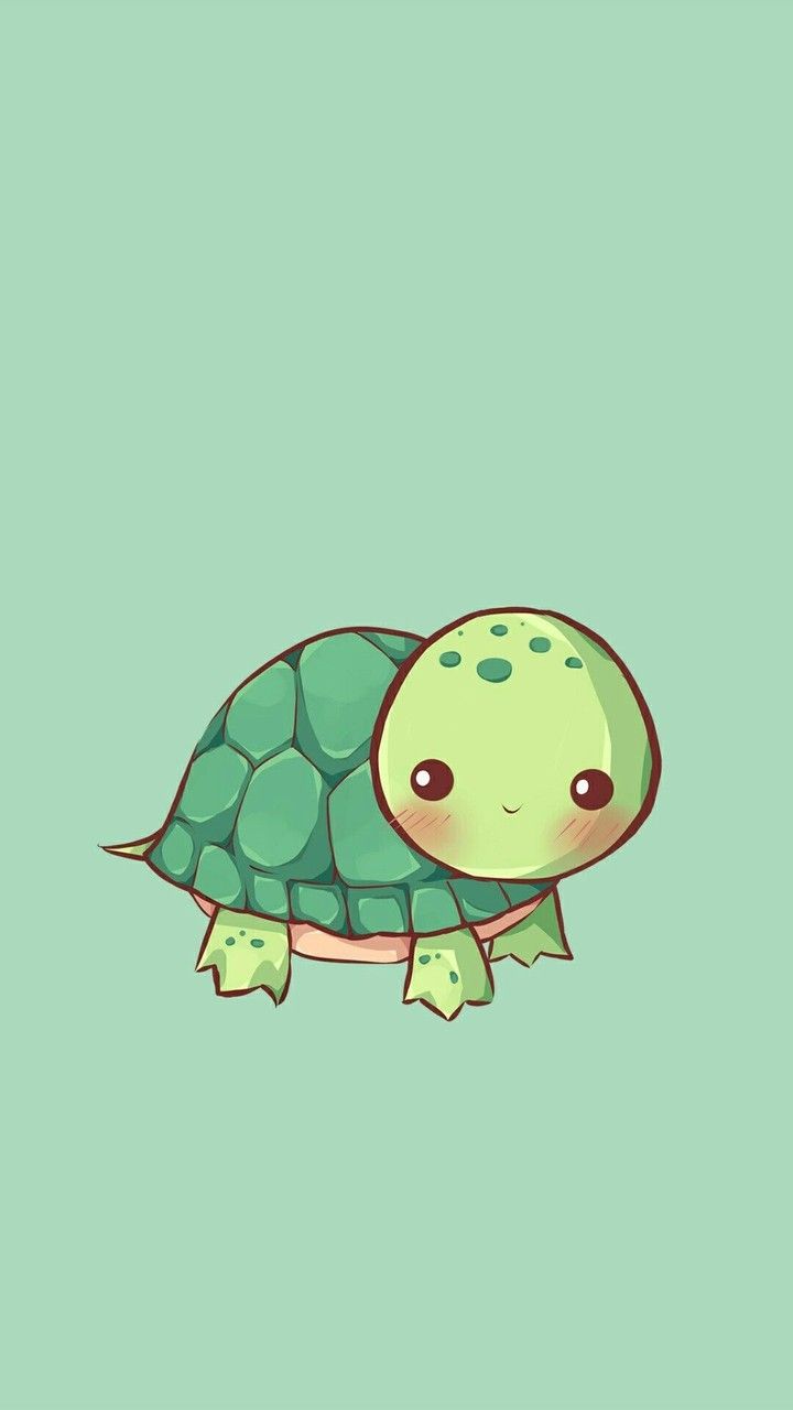Hình vẽ con rùa