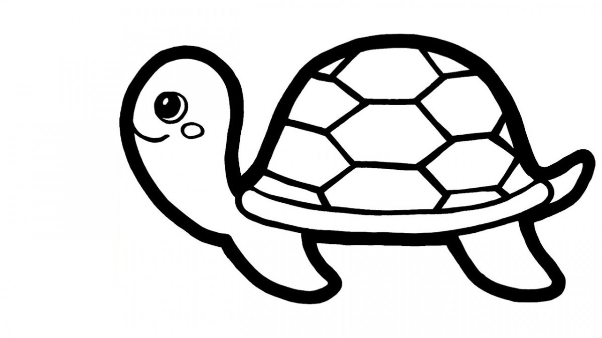 Hình vẽ con rùa biển