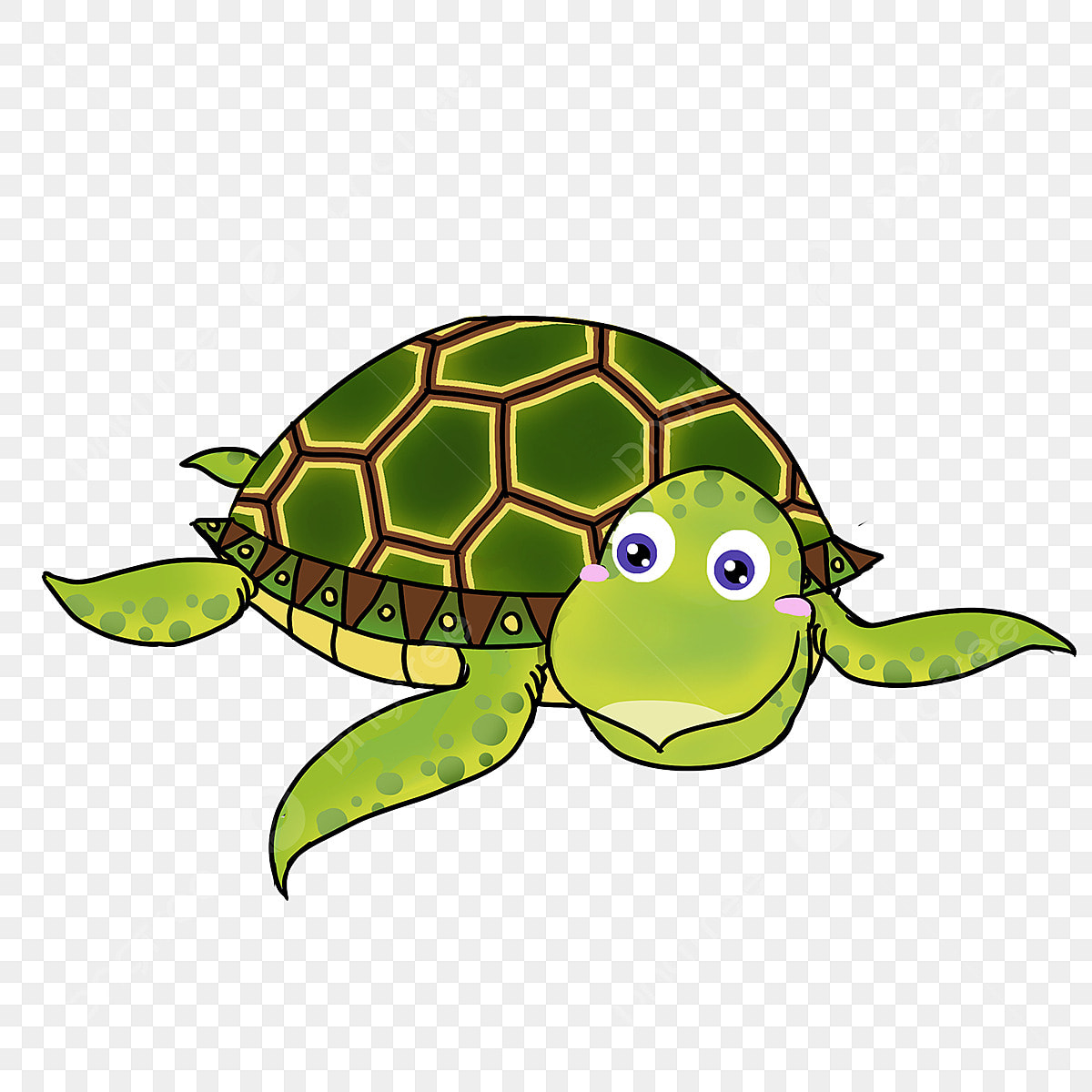Hình vẽ con rùa dễ thương