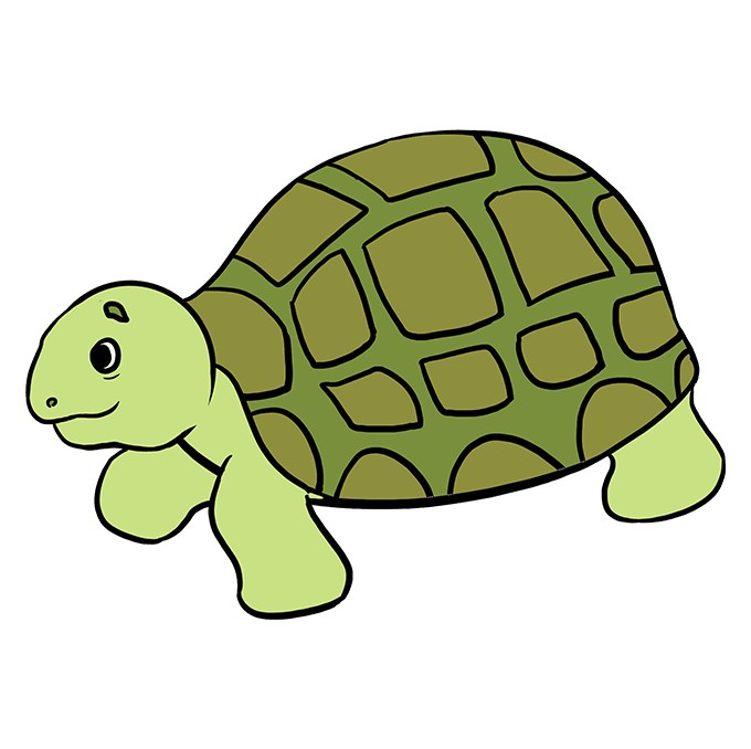 Hình vẽ con rùa cute
