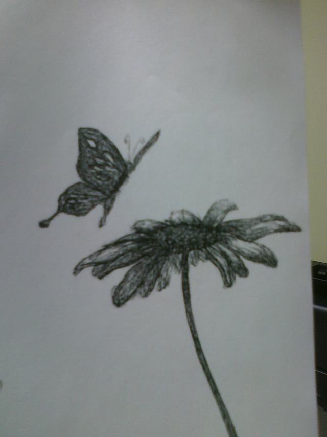 Hình vẽ hoa cúc đơn giản