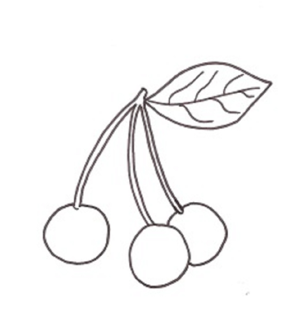Hình vẽ hoa quả đơn giản