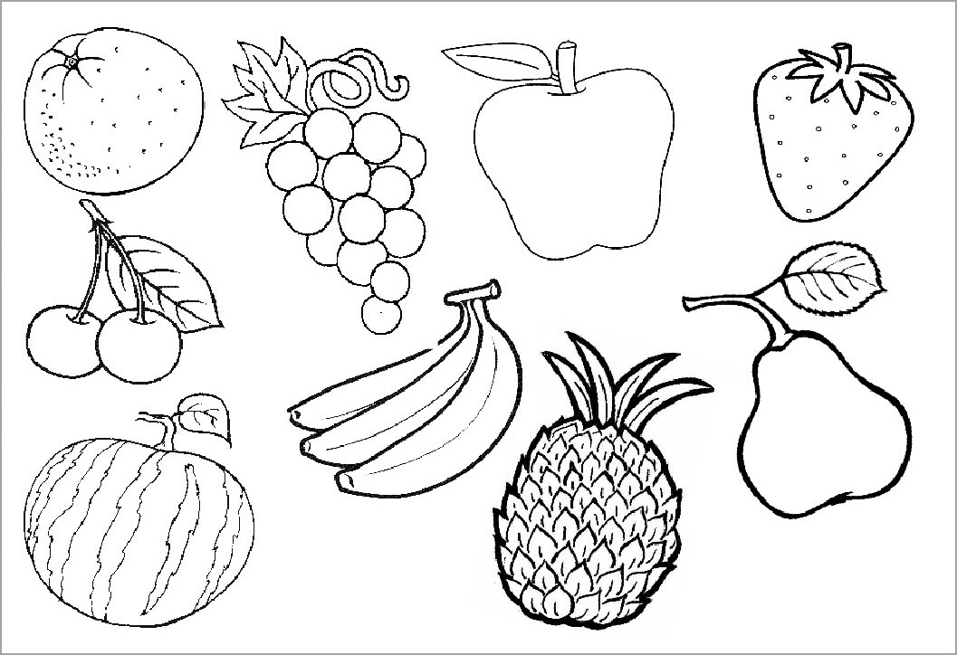 Hình vẽ các loại quả