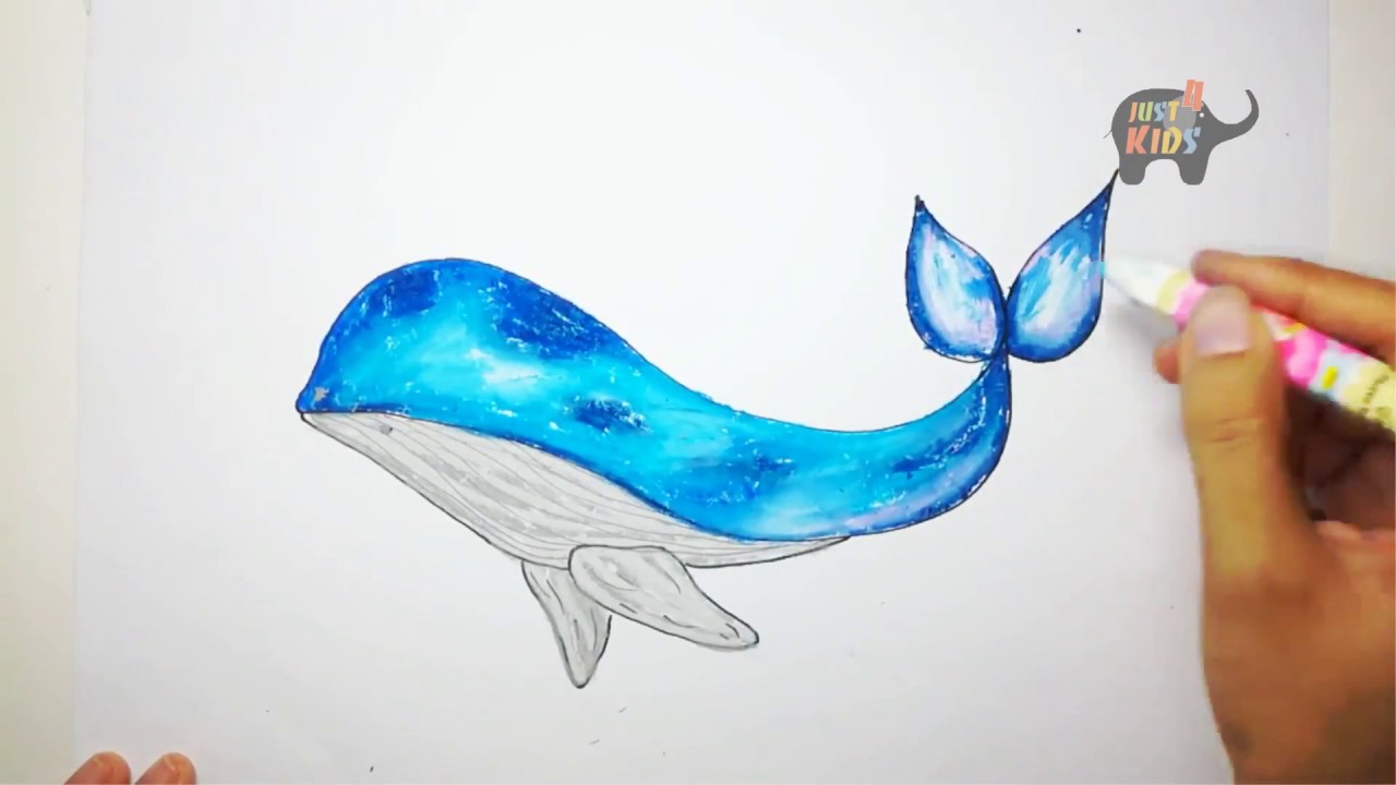 Hình vẽ cá voi xanh