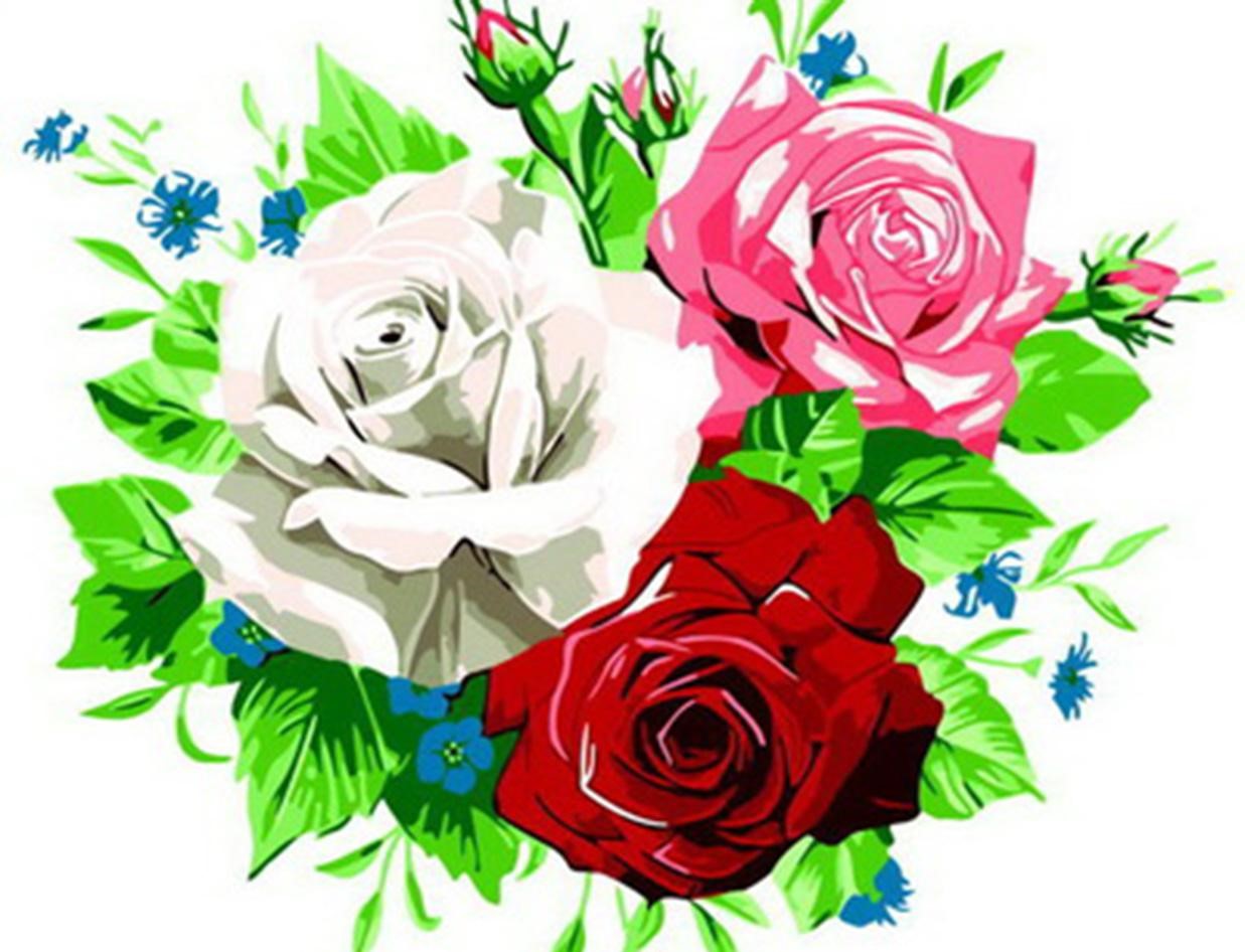 Hình vẽ hoa hồng môn
